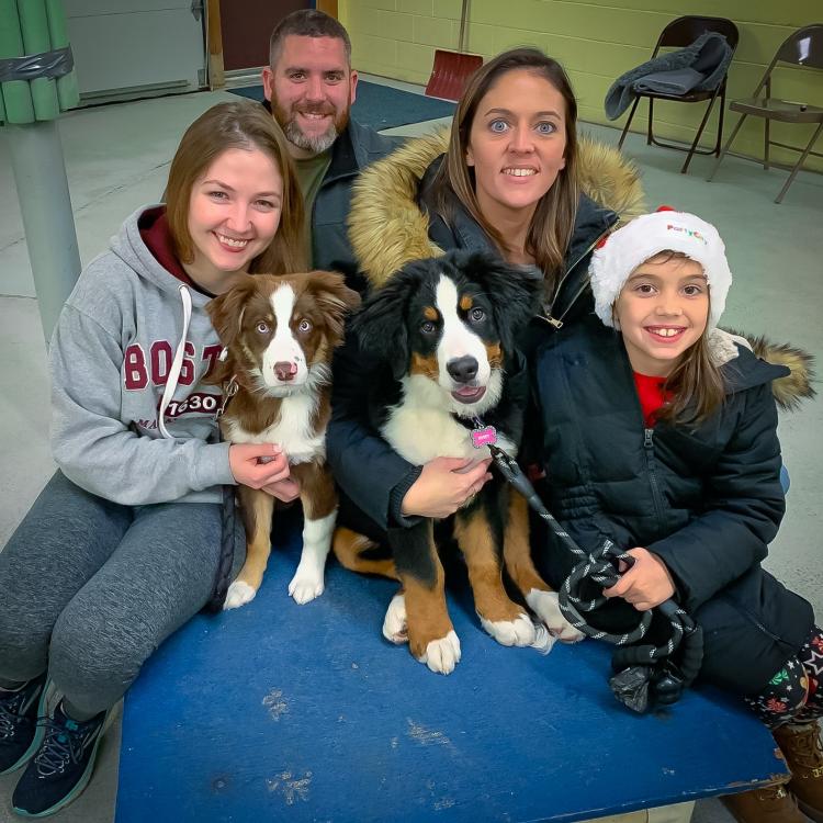 Nassau Veterinary Clinic Nassau, NY